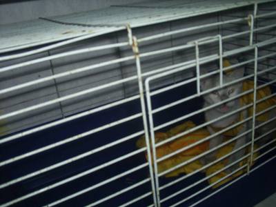 Image description