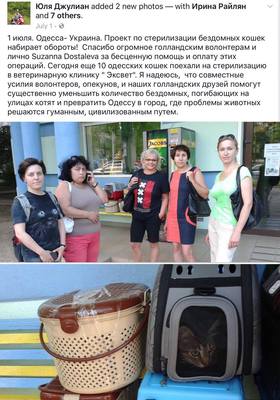 Image description