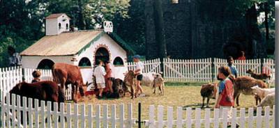 Image description