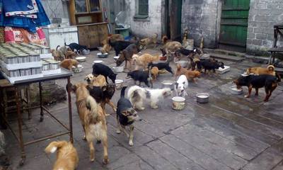 Image description