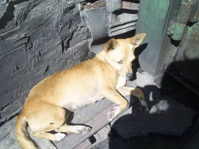 Image description