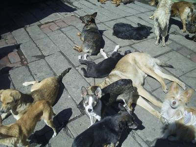 Image description